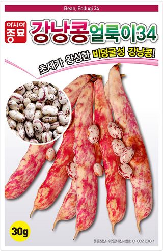 씨앗드림님의 작성글 사진