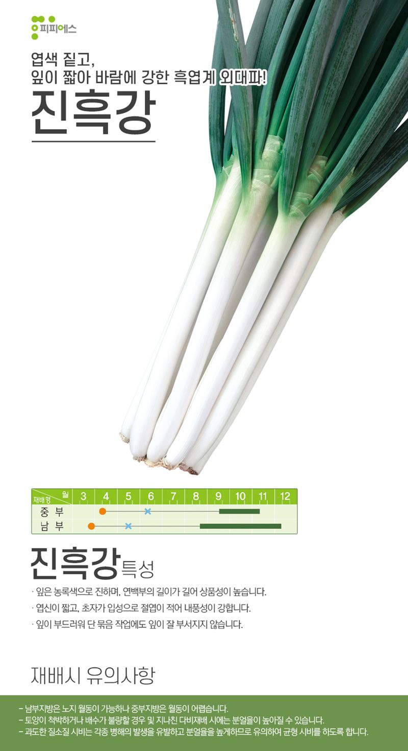 씨앗드림님의 장터 판매 상품 [대파 외대파 종자 400그램 진흑강] 첨부 사진