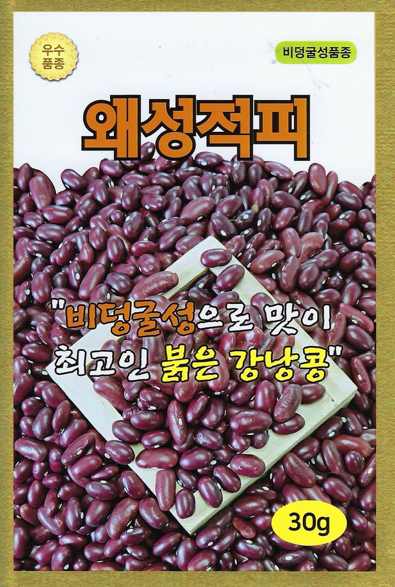 씨앗드림님의 장터 판매 상품 [왜성적피 적강낭콩 600g 비덩쿨] 첨부 사진
