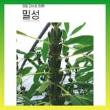 팜모닝 · 게시글 이미지