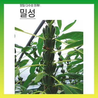 씨앗드림님의 작성글 사진