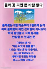 팜모닝 자유주제·자유게시판 게시글 이미지