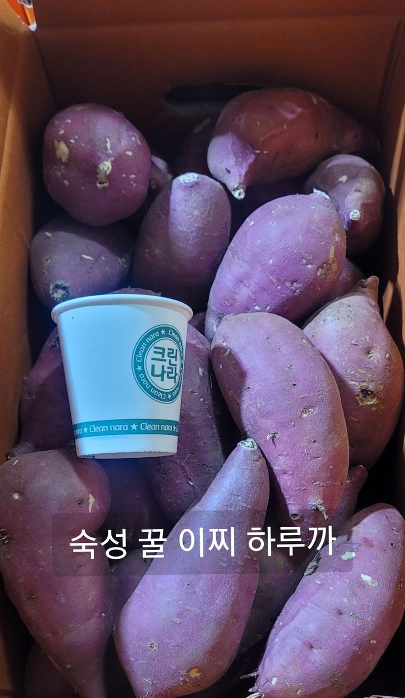 장터 상품 [숙성)꿀 고구마 이찌 하루까1kg(맛 1위)] 썸네일