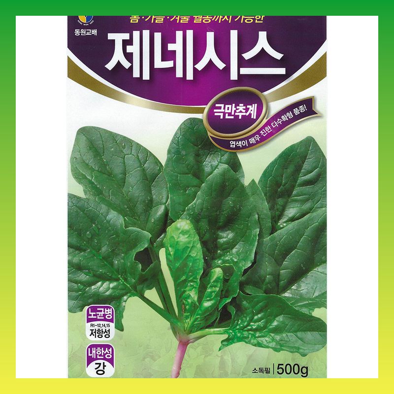 장터 상품 [동초 섬초 겨울초 500g 제네시스] 썸네일