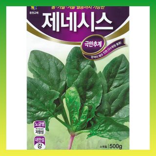 씨앗드림님의 작성글 사진