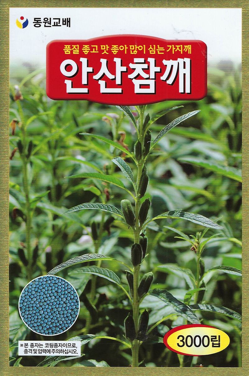 씨앗드림님의 장터 판매 상품 [안산 참깨 가지깨 코팅 3000립] 첨부 사진