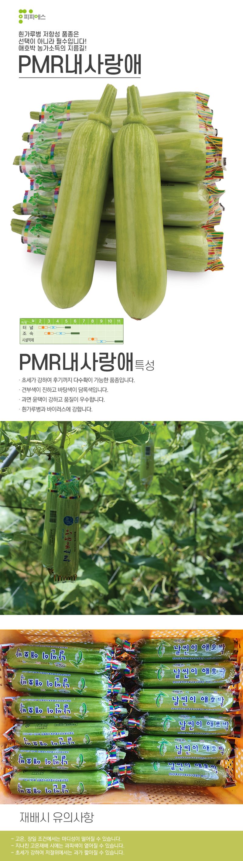 씨앗드림님의 장터 판매 상품 [PMR내사랑애 1100립 흰가루내병계 애호박] 첨부 사진