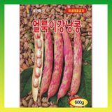 팜모닝 · 게시글 이미지