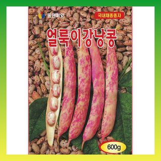 씨앗드림님의 작성글 사진
