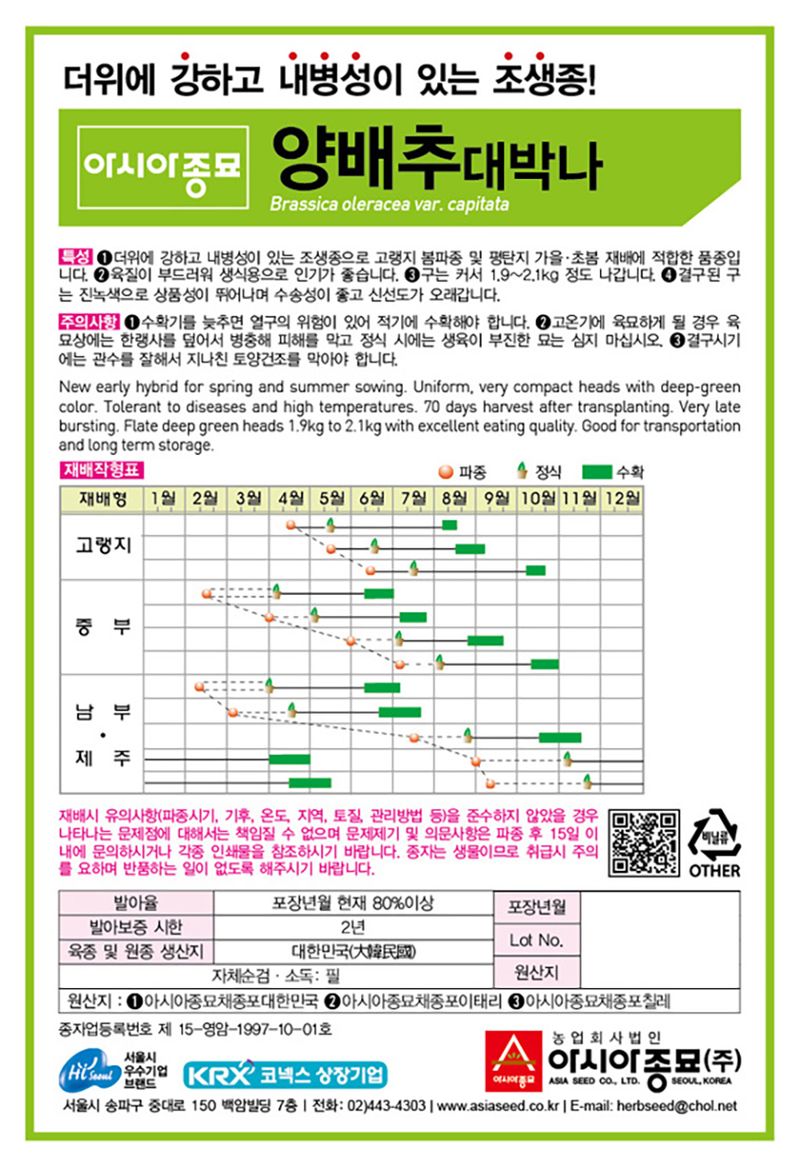 씨앗드림님의 장터 판매 상품 [대박나 양배추 2500립] 첨부 사진