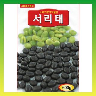 씨앗드림님의 작성글 사진