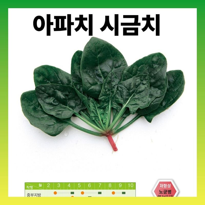 장터 상품 [아파치 시금치 영리재배용(내서성) 500g] 썸네일