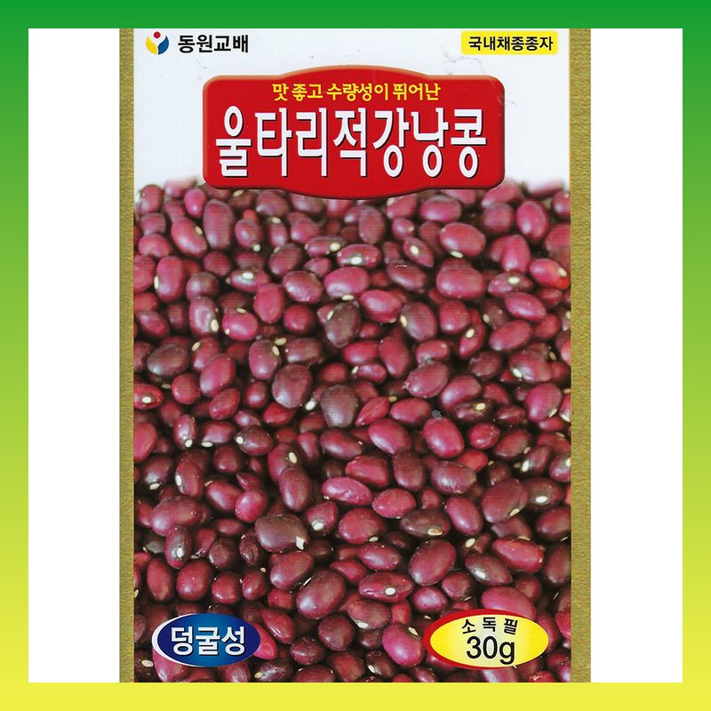 장터 상품 [적울타리콩 강낭콩 600g 덩쿨성] 썸네일