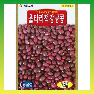 씨앗드림님의 작성글 사진