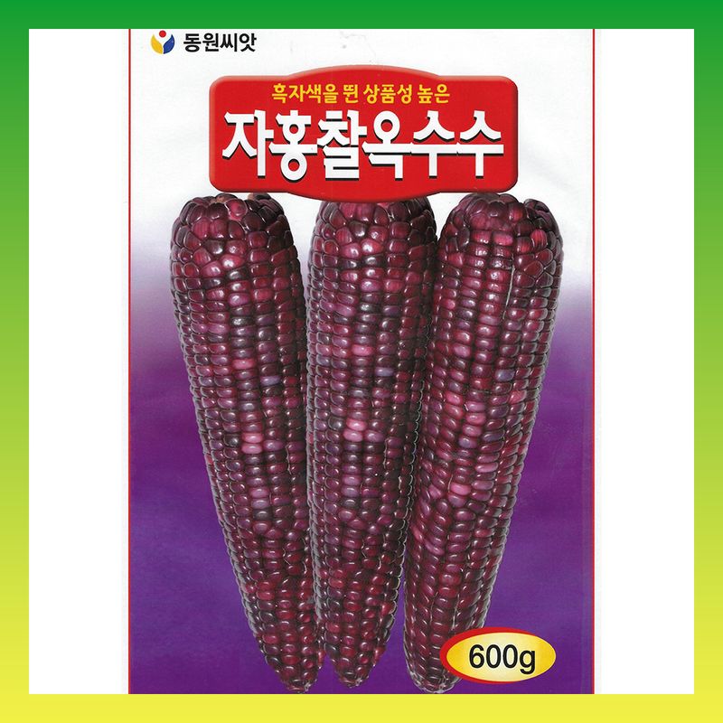 장터 상품 [자홍찰 옥수수 600g] 썸네일