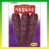 팜모닝 · 게시글 이미지