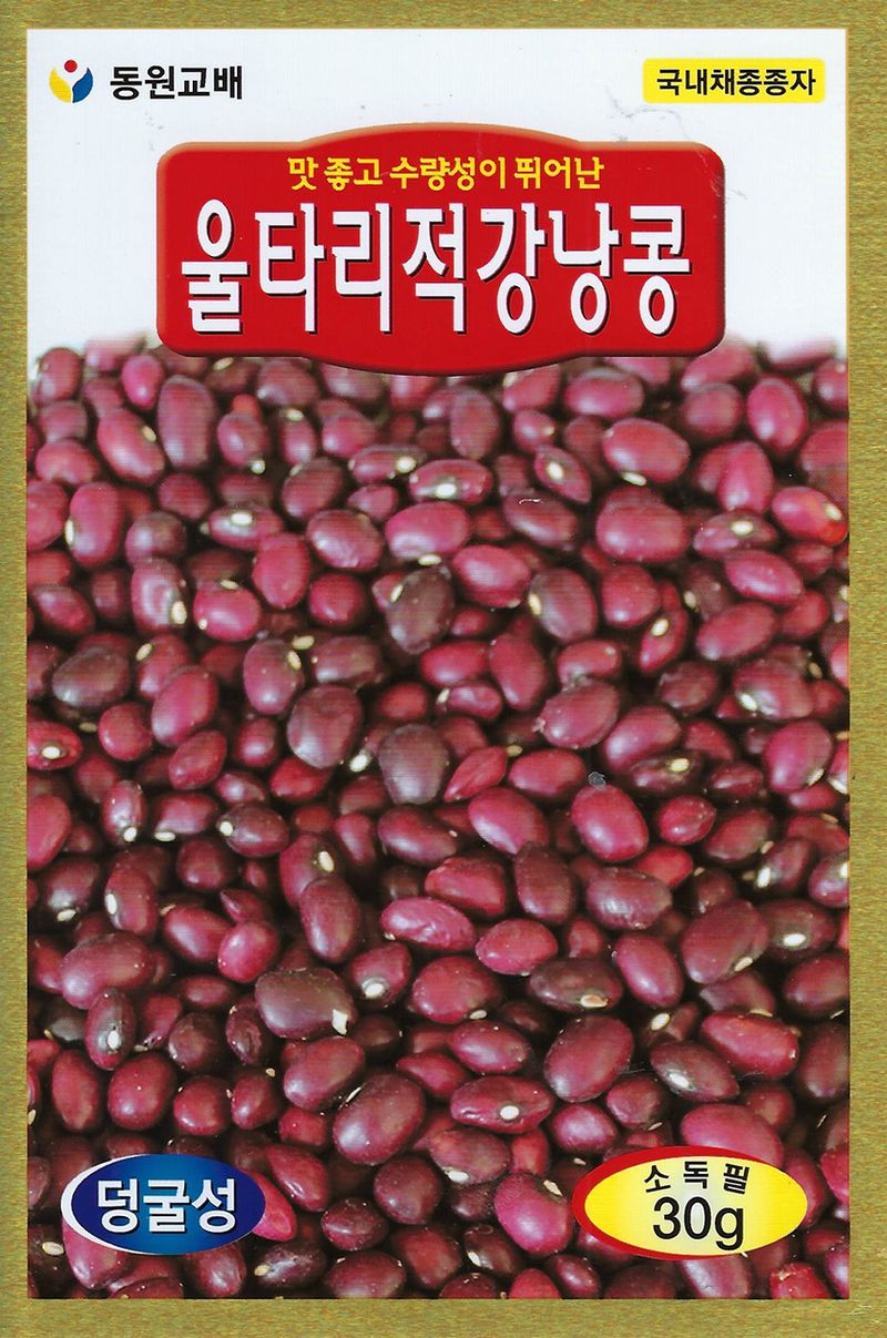 씨앗드림님의 장터 판매 상품 [적울타리콩 강낭콩 600g 덩쿨성] 첨부 사진