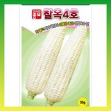 팜모닝 · 게시글 이미지