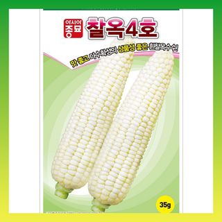 씨앗드림님의 작성글 사진