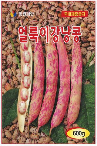 씨앗드림님의 작성글 사진