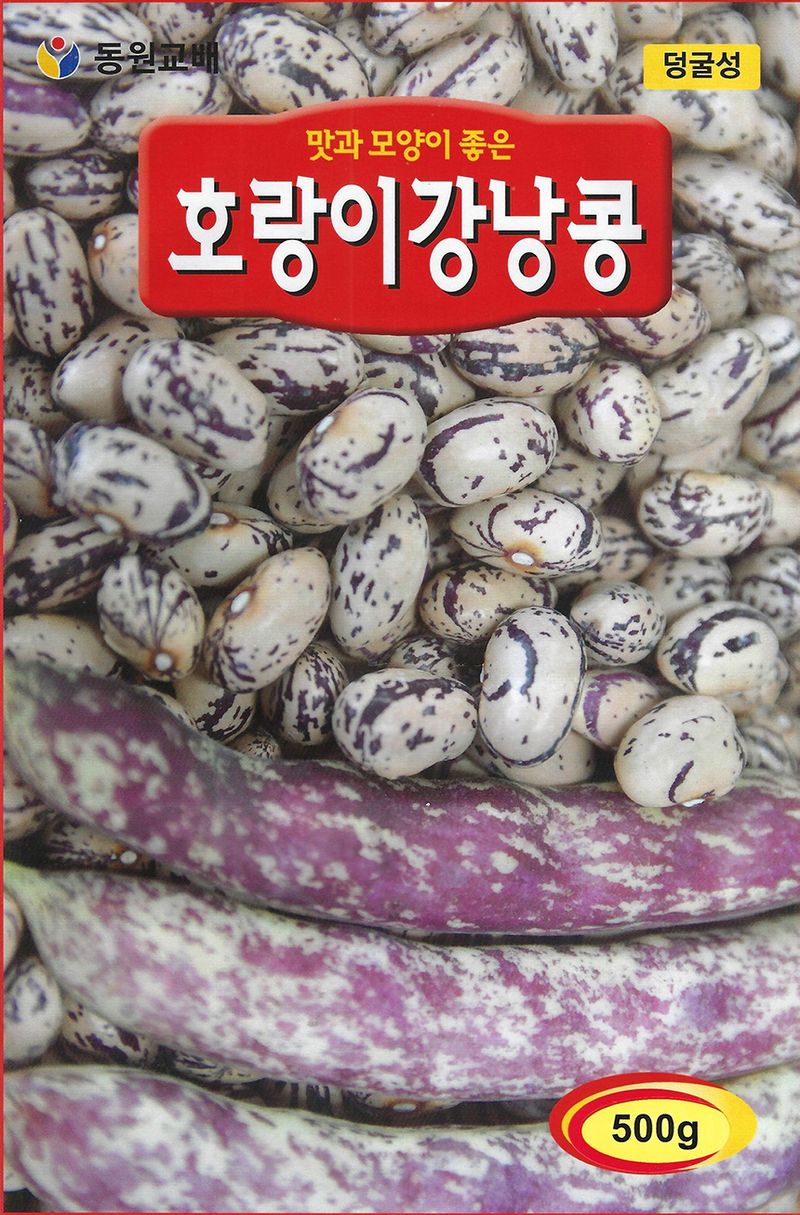 씨앗드림님의 장터 판매 상품 [호랑이강낭콩 600g 덩쿨성] 첨부 사진
