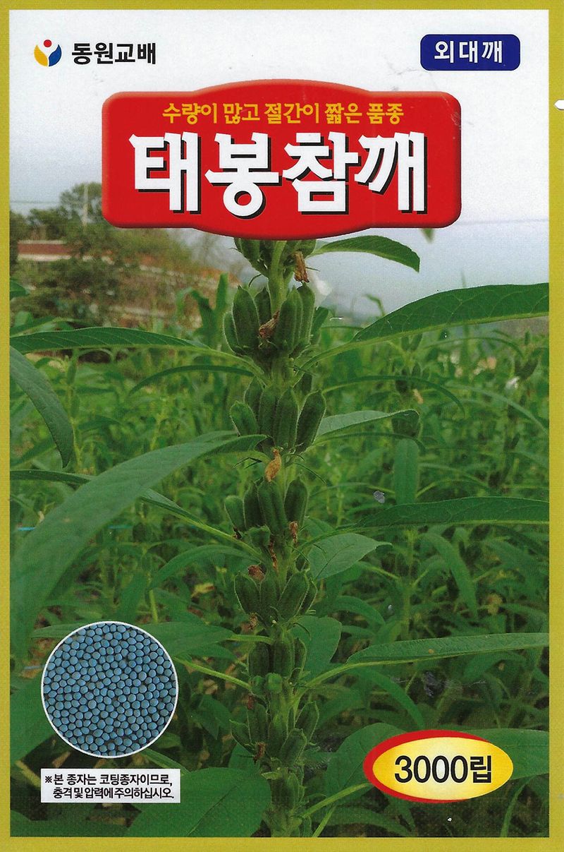 씨앗드림님의 장터 판매 상품 [태봉 참깨 외대깨 3000립 코팅] 첨부 사진