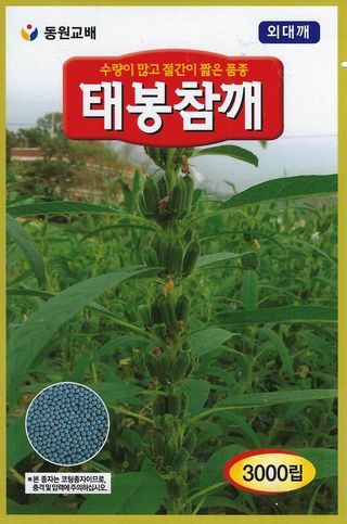 씨앗드림님의 작성글 사진
