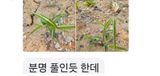 팜모닝 자유주제·자유게시판 게시글 이미지