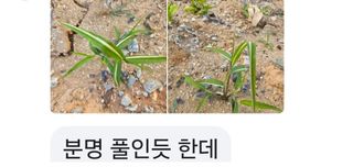 knlee님의 자유주제 · 자유게시판 작성글 사진