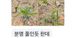 홈 갤러리 이미지