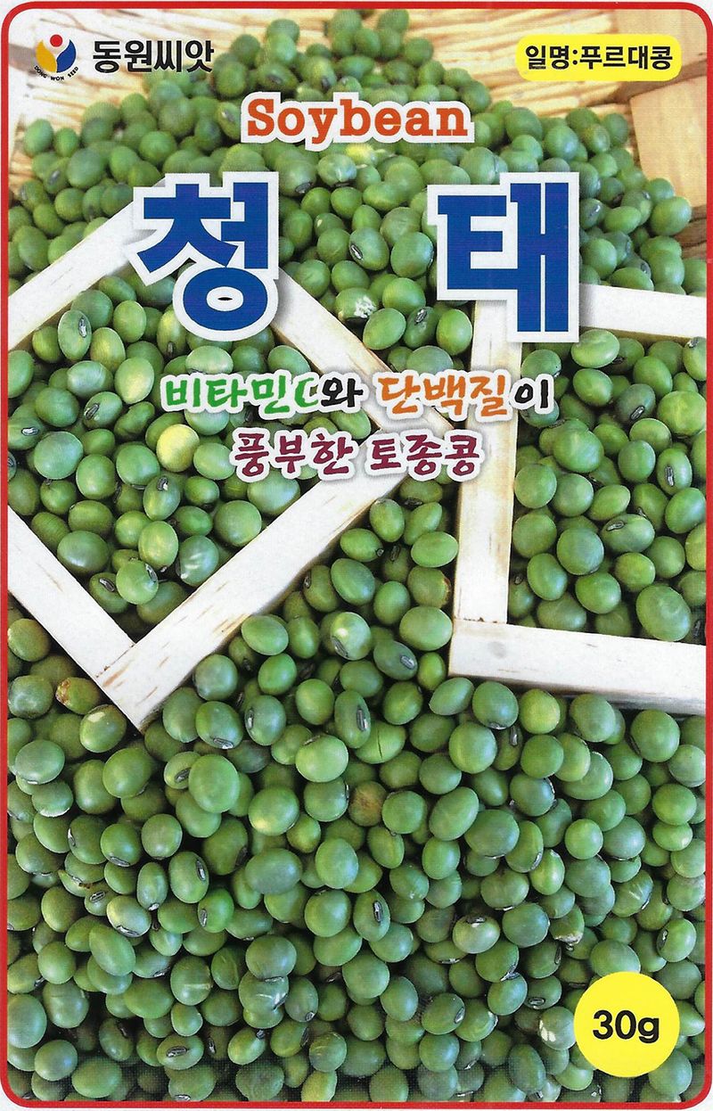 씨앗드림님의 장터 판매 상품 [청태 푸르대콩 600g] 첨부 사진