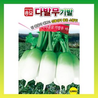 씨앗드림님의 작성글 사진