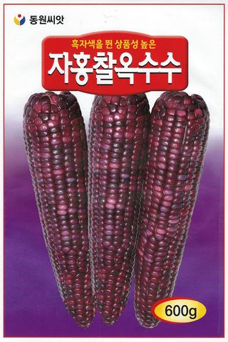 씨앗드림님의 작성글 사진