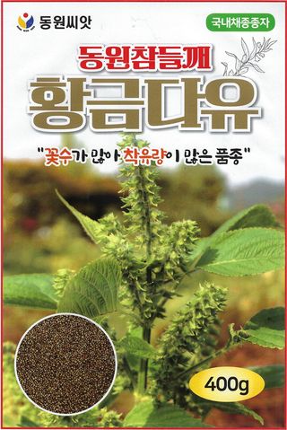 씨앗드림님의 작성글 사진