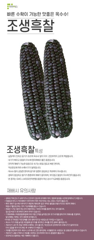 씨앗드림님의 작성글 사진