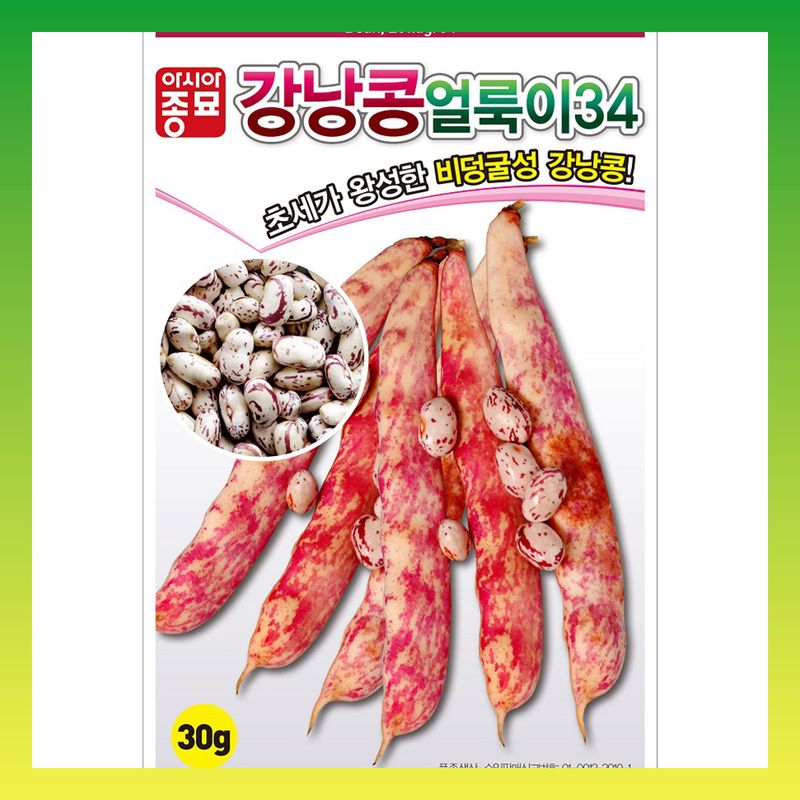장터 상품 [얼룩이강낭콩 600g 비덩쿨] 썸네일