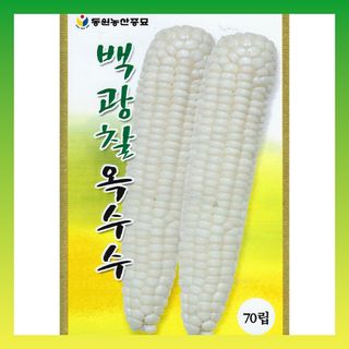 씨앗드림님의 작성글 사진