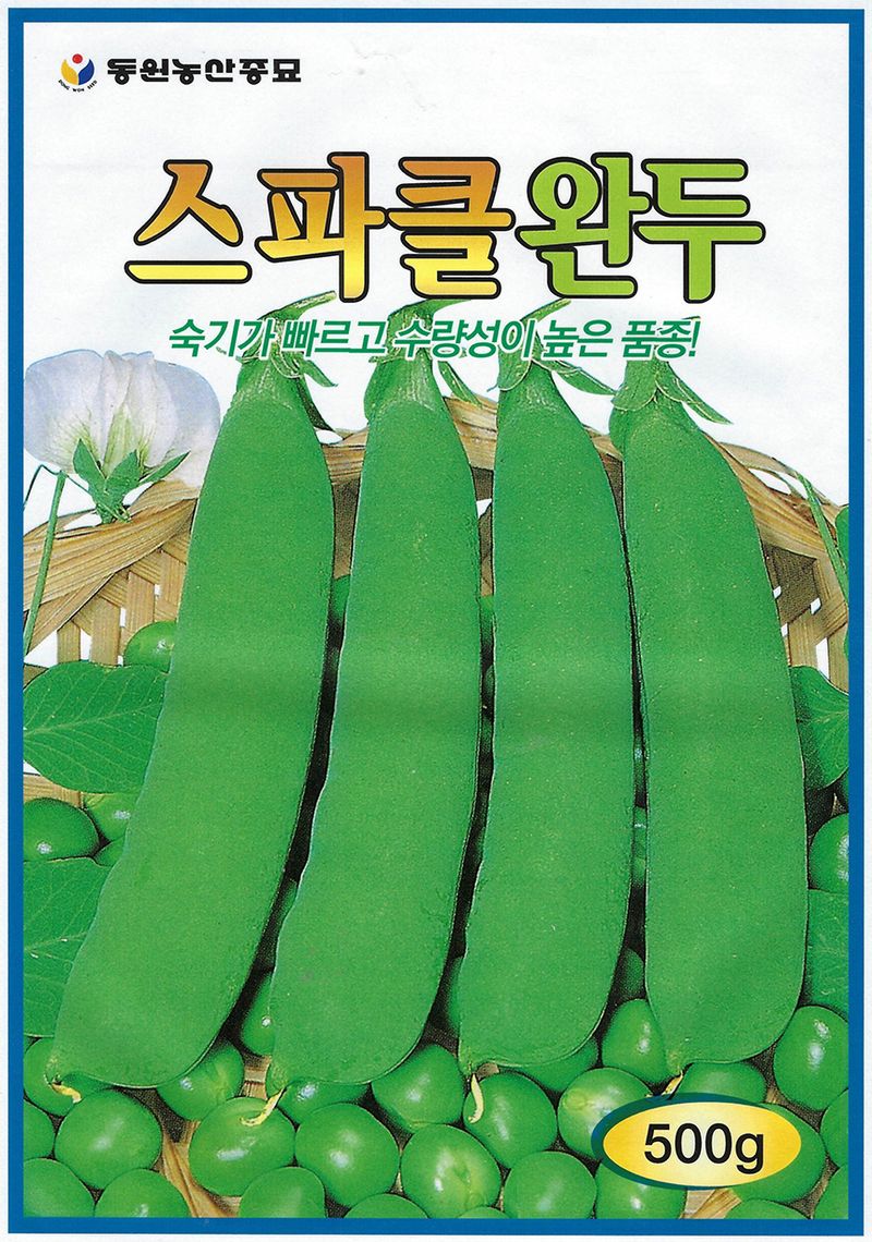 씨앗드림님의 장터 판매 상품 [스파클 완두콩 500g] 첨부 사진