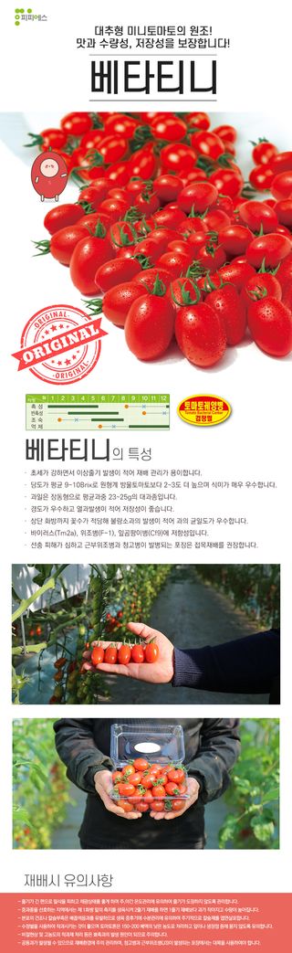 씨앗드림님의 작성글 사진