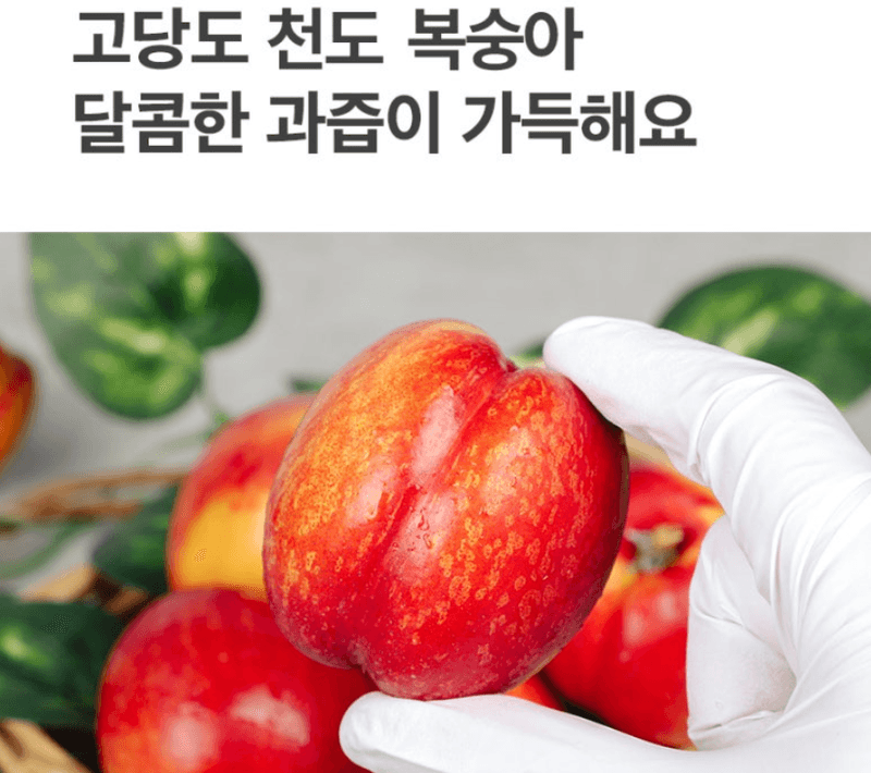 메종루엘님의 장터 판매 상품 [하우스 천도복숭아] 첨부 사진