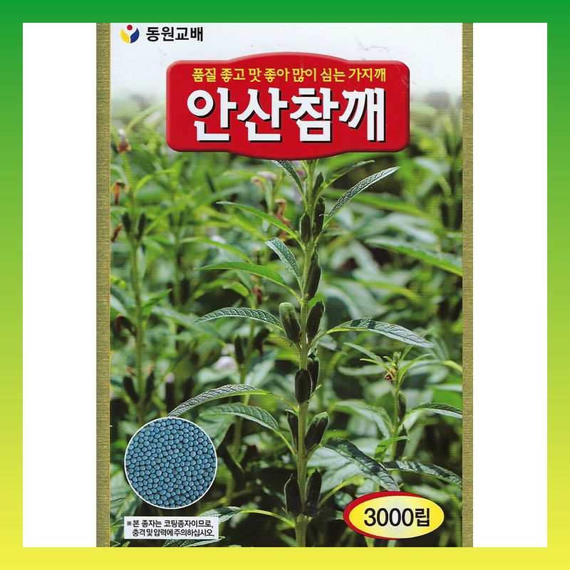 장터 상품 [안산 참깨 가지깨 코팅 3000립] 썸네일