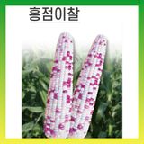 팜모닝 · 게시글 이미지