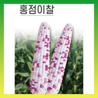 씨앗드림님의 작성글 사진