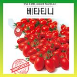 팜모닝 · 게시글 이미지
