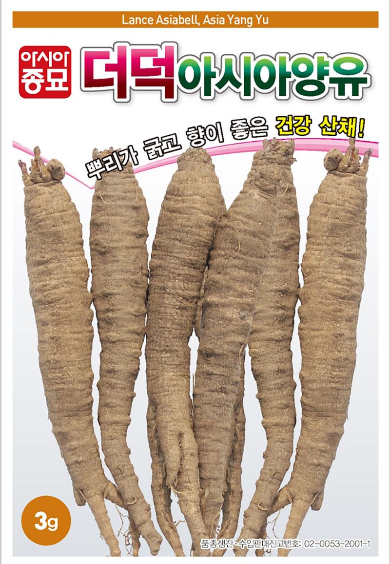 씨앗드림님의 장터 판매 상품 [더덕 300g 양유 ] 첨부 사진
