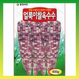 팜모닝 · 게시글 이미지