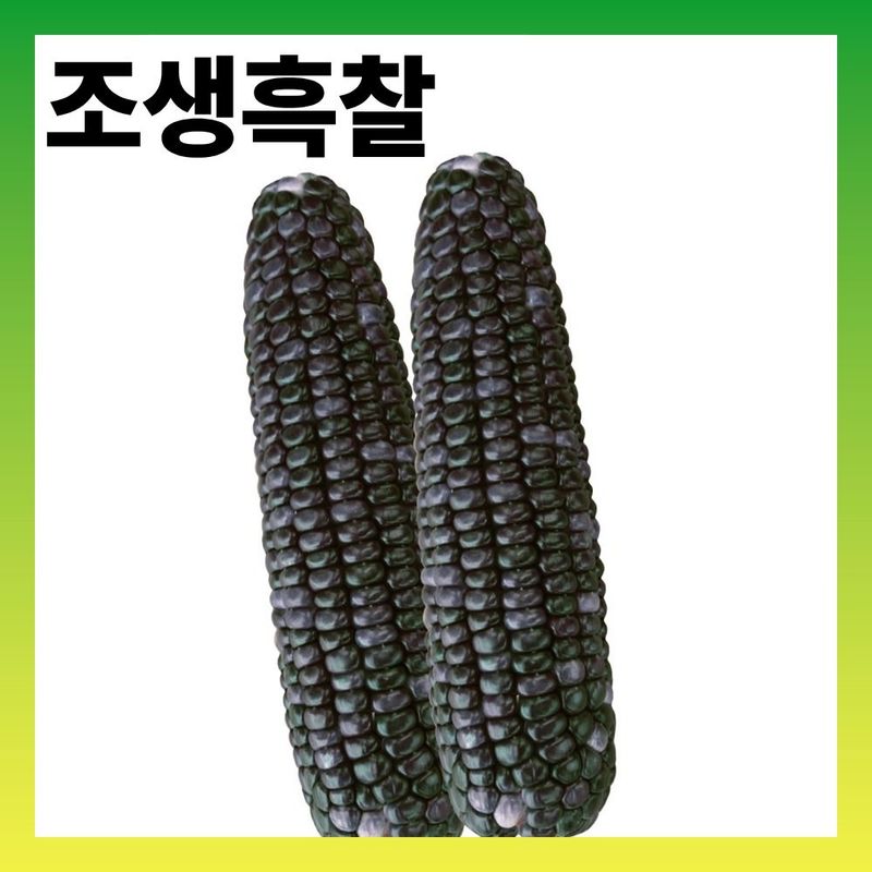 장터 상품 [조생흑찰 옥수수 2500립] 썸네일