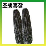 팜모닝 · 게시글 이미지