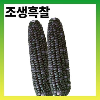 씨앗드림님의 작성글 사진
