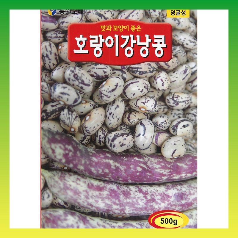 장터 상품 [호랑이강낭콩 600g 덩쿨성] 썸네일